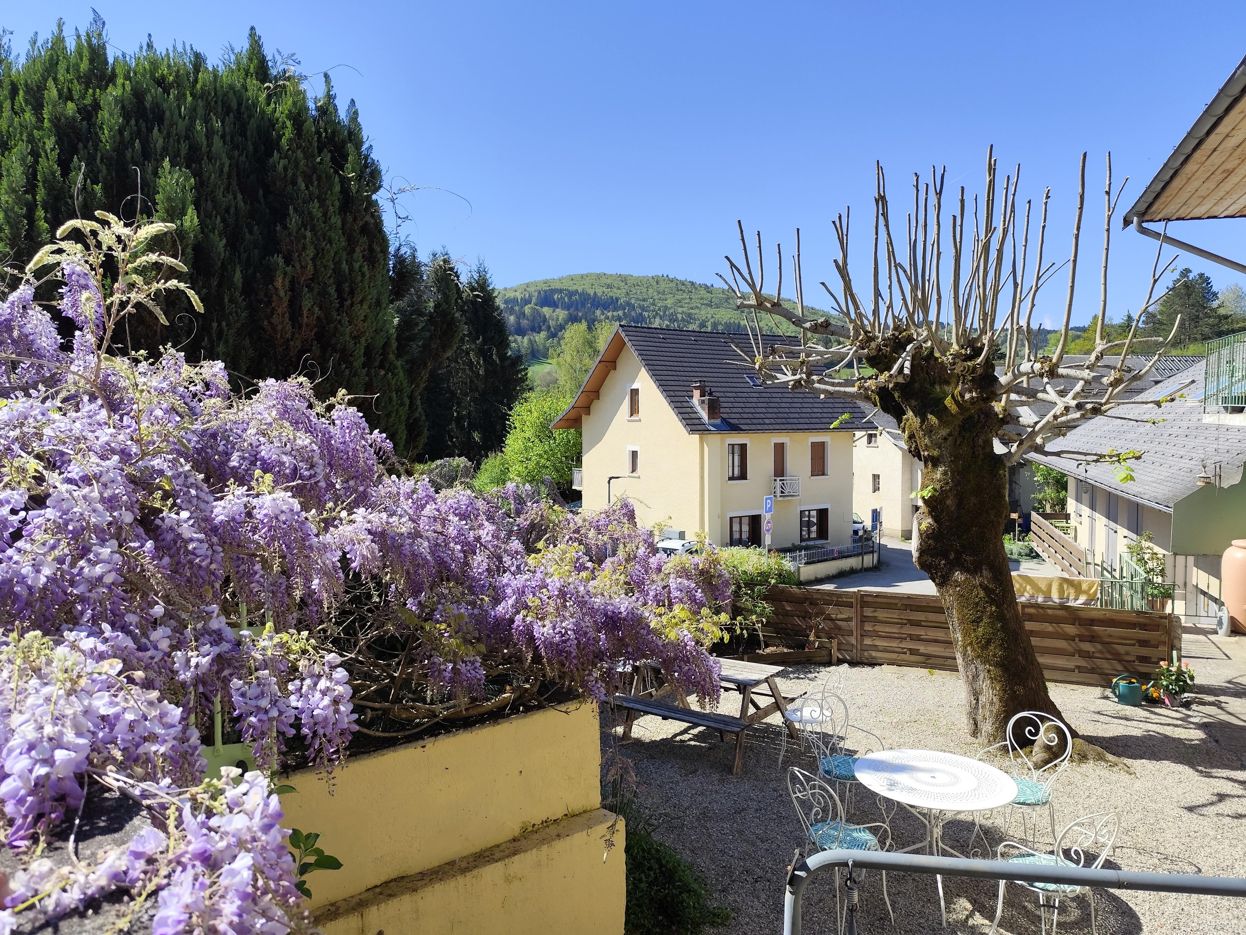 Vue depuis notre chambre sur la glycine
