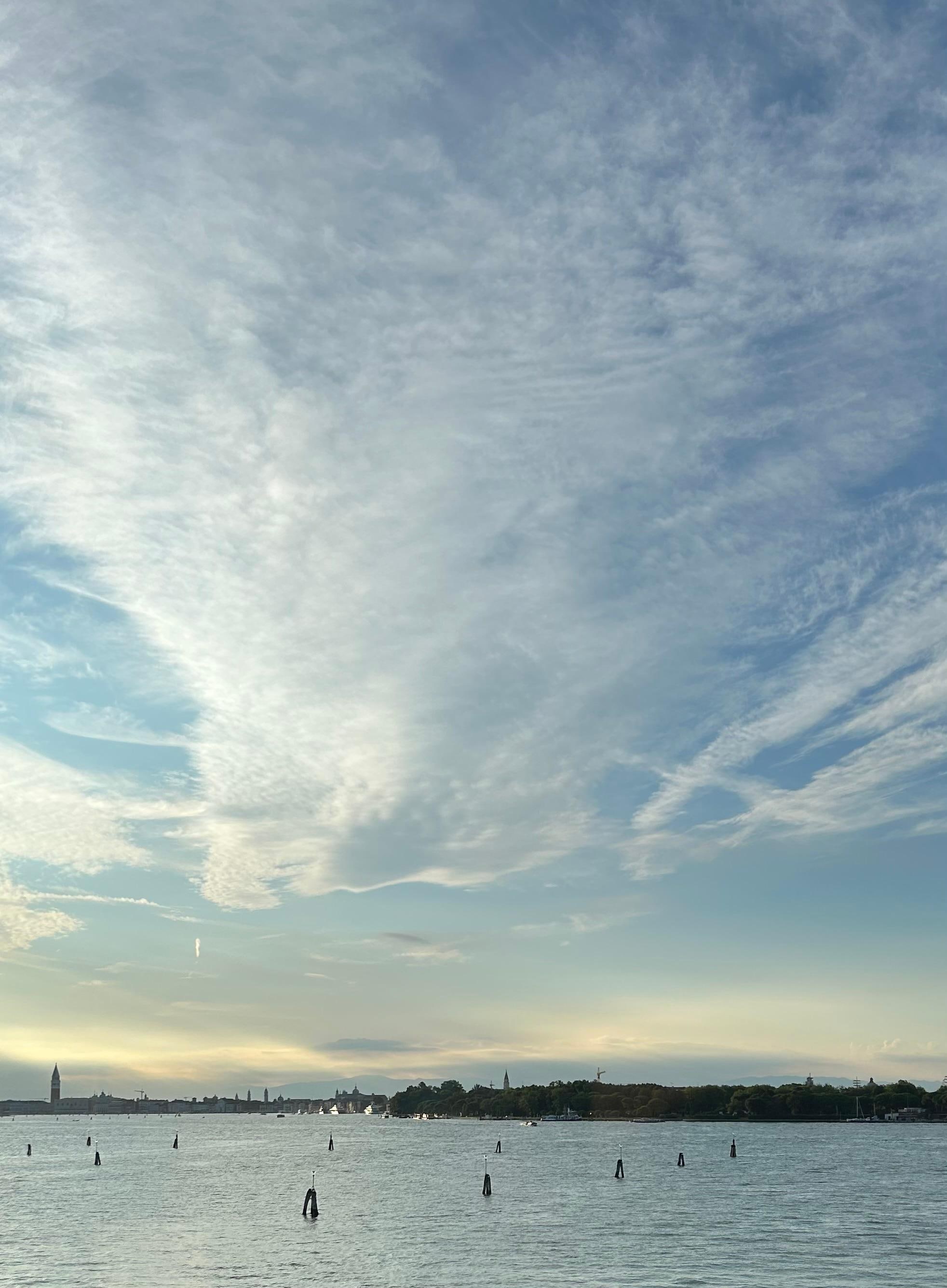 A room with a view