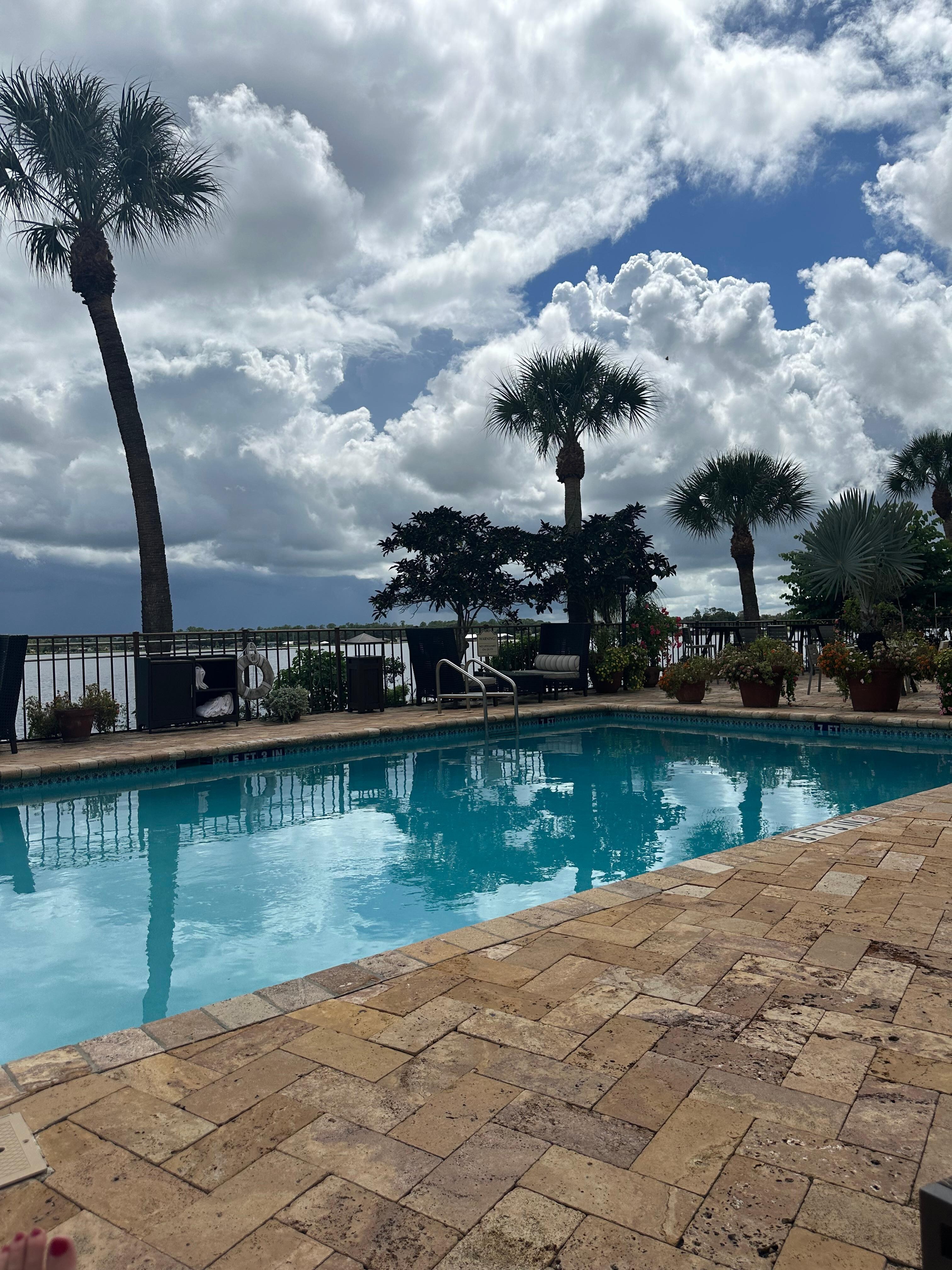 The view from my chaise lounger 