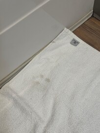 Stands on bathroom rug