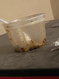 Roaches in a cup on a windowsill