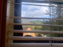 Spider webs everywhere & missing slats in some of the blinds