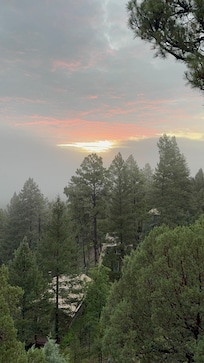 Sunrise with fog after rain.