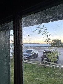 Web on the window with trapped bugs