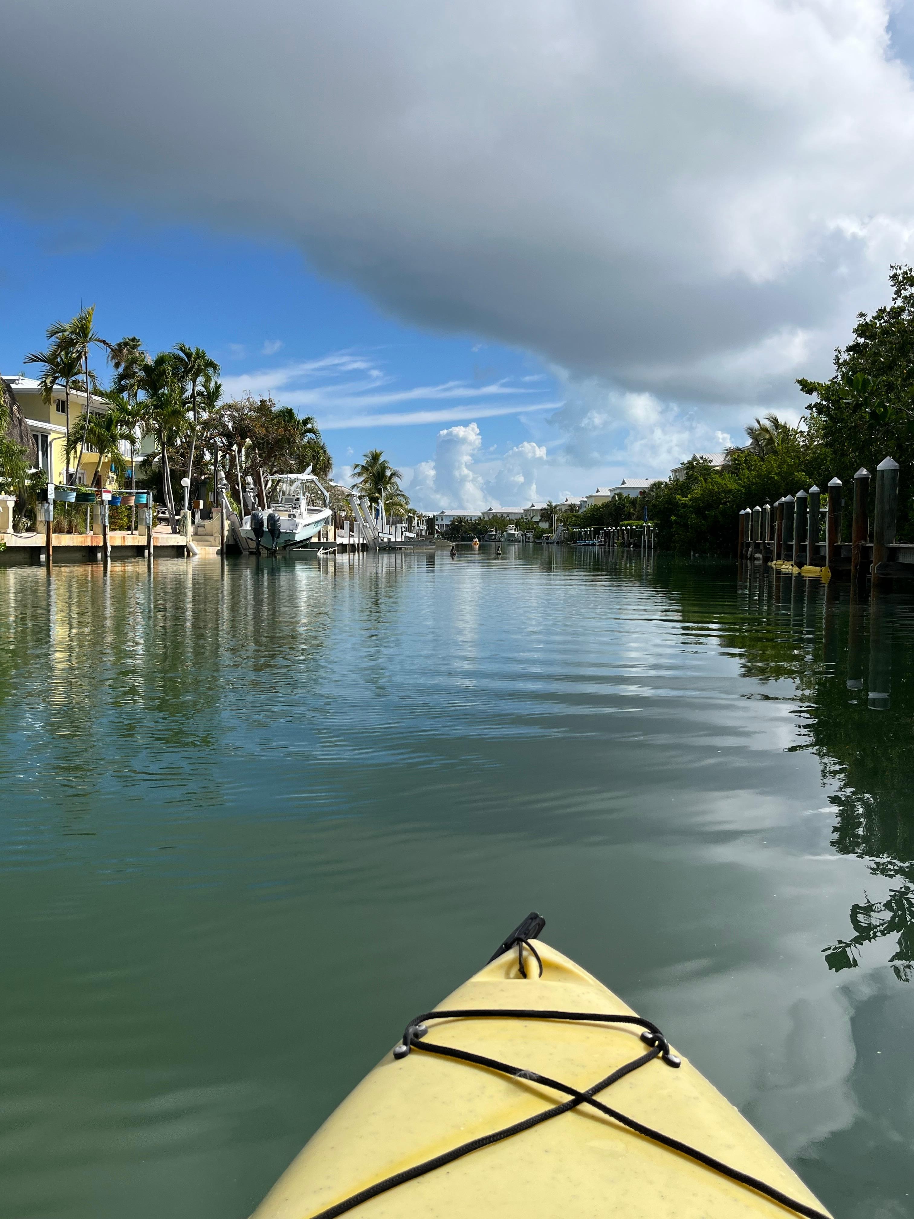Kayaking through the canal in the mornings 