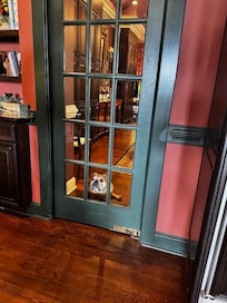 Although, swing doors can be confusing to the bulldog.