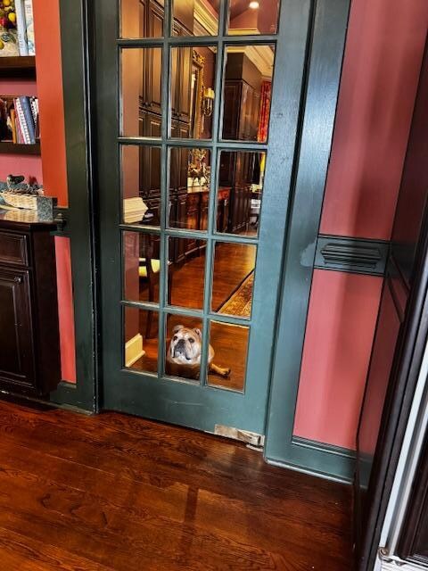 Although, swing doors can be confusing to the bulldog.