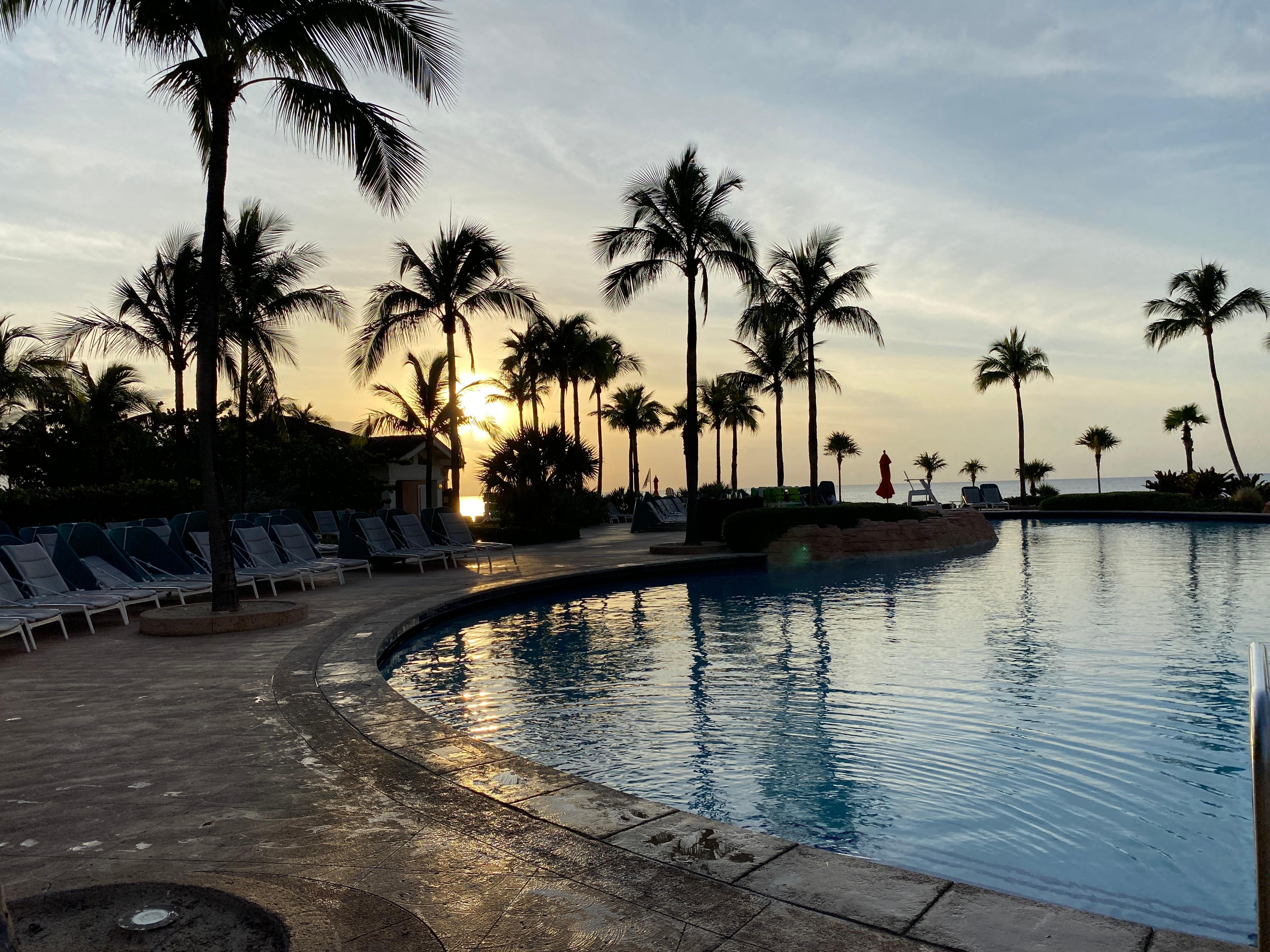 Reef pool