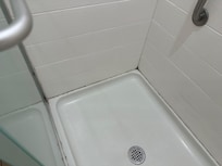 Mold growing everywhere