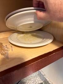 Dirty plates