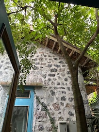 Star fruit in the tree outside our room