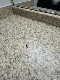 Eyelash or something on the sink counter top