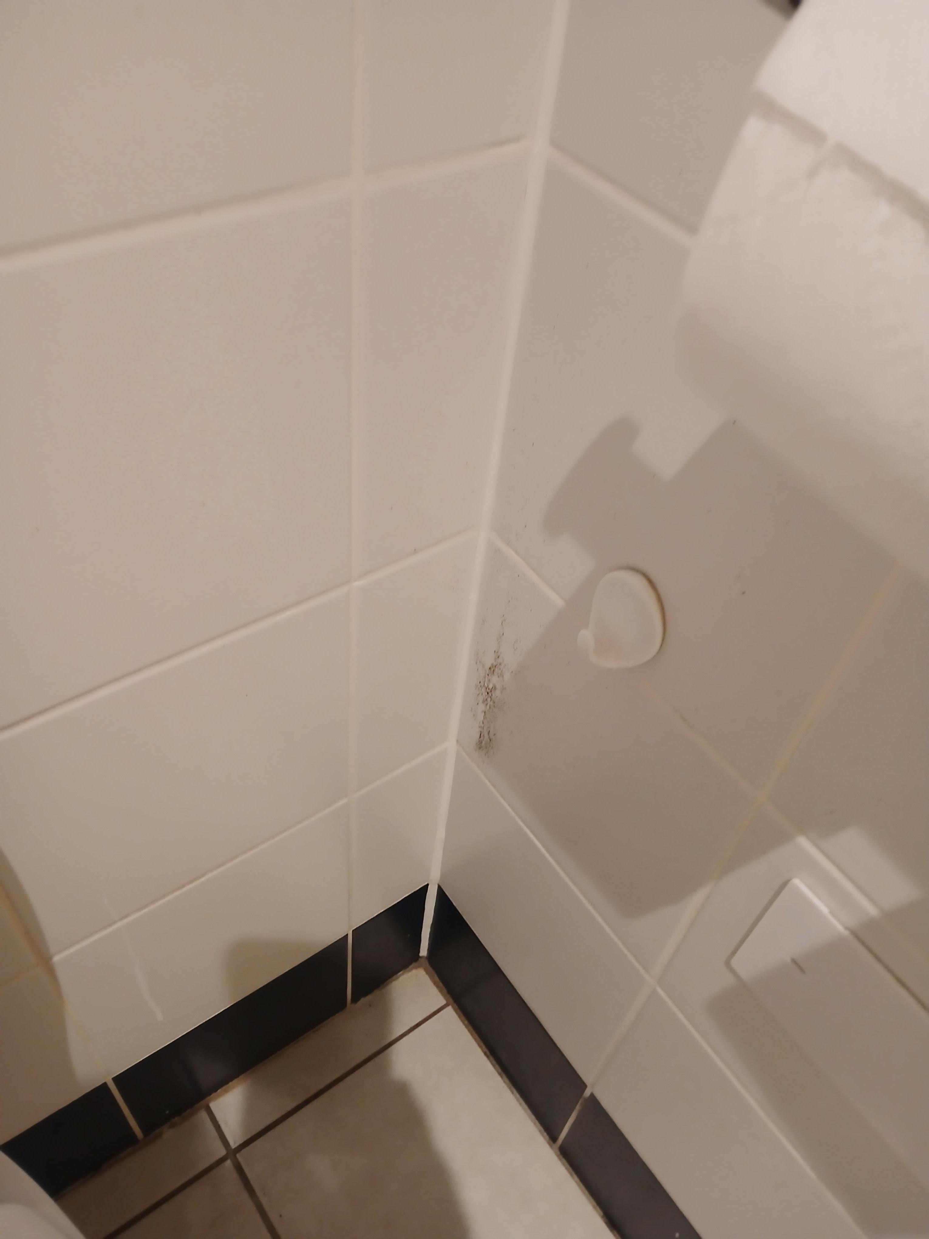 Mould on bathroom wall