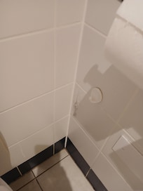 Mould on bathroom wall