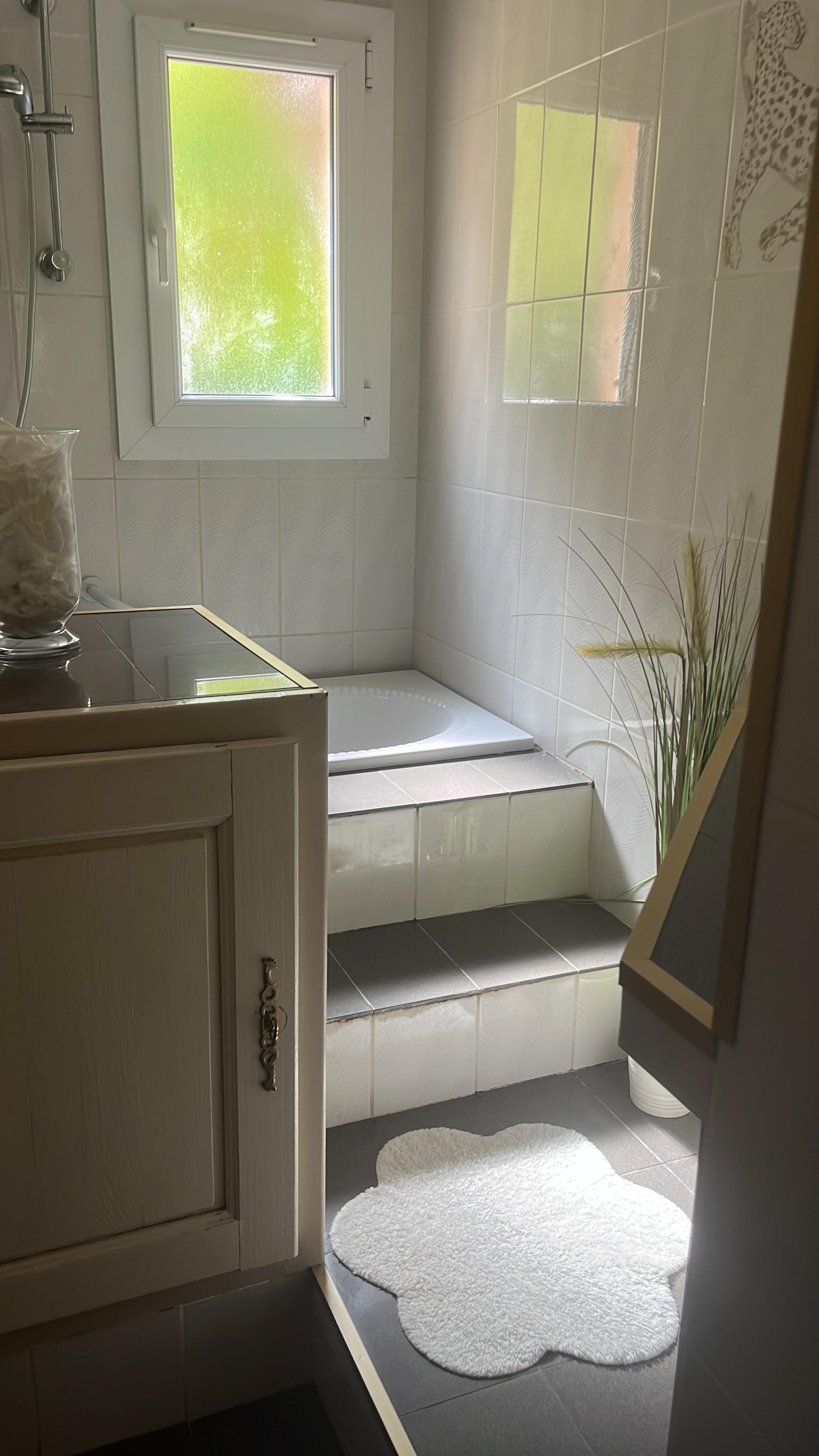 Des marches pour accéder à la baignoire sans poignée incohérent 