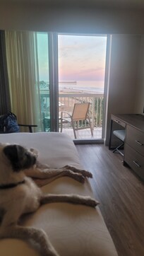 Bumming view of the skyline