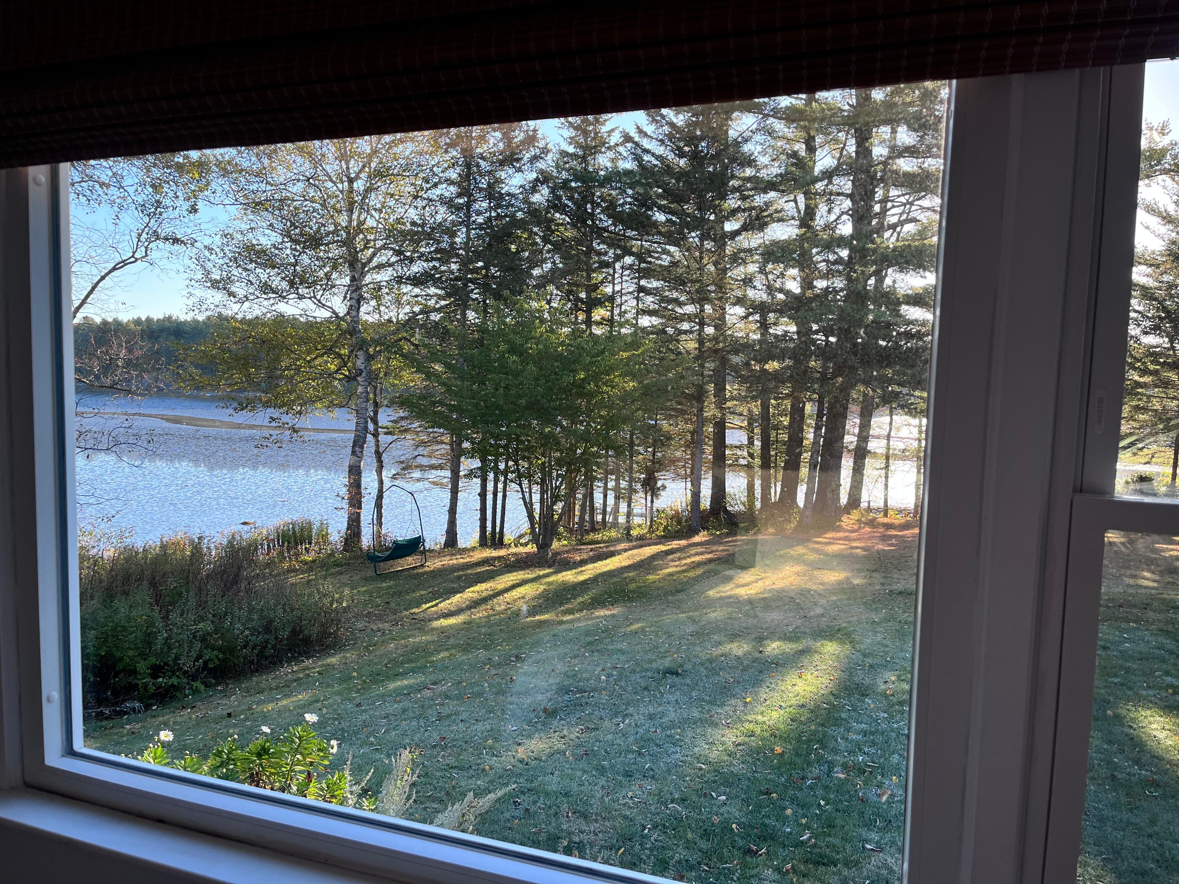 Beautiful view out of bedroom window