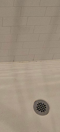 Mold in grout