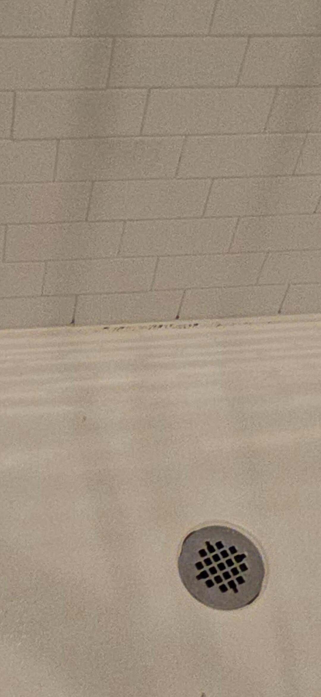 Mold in grout 