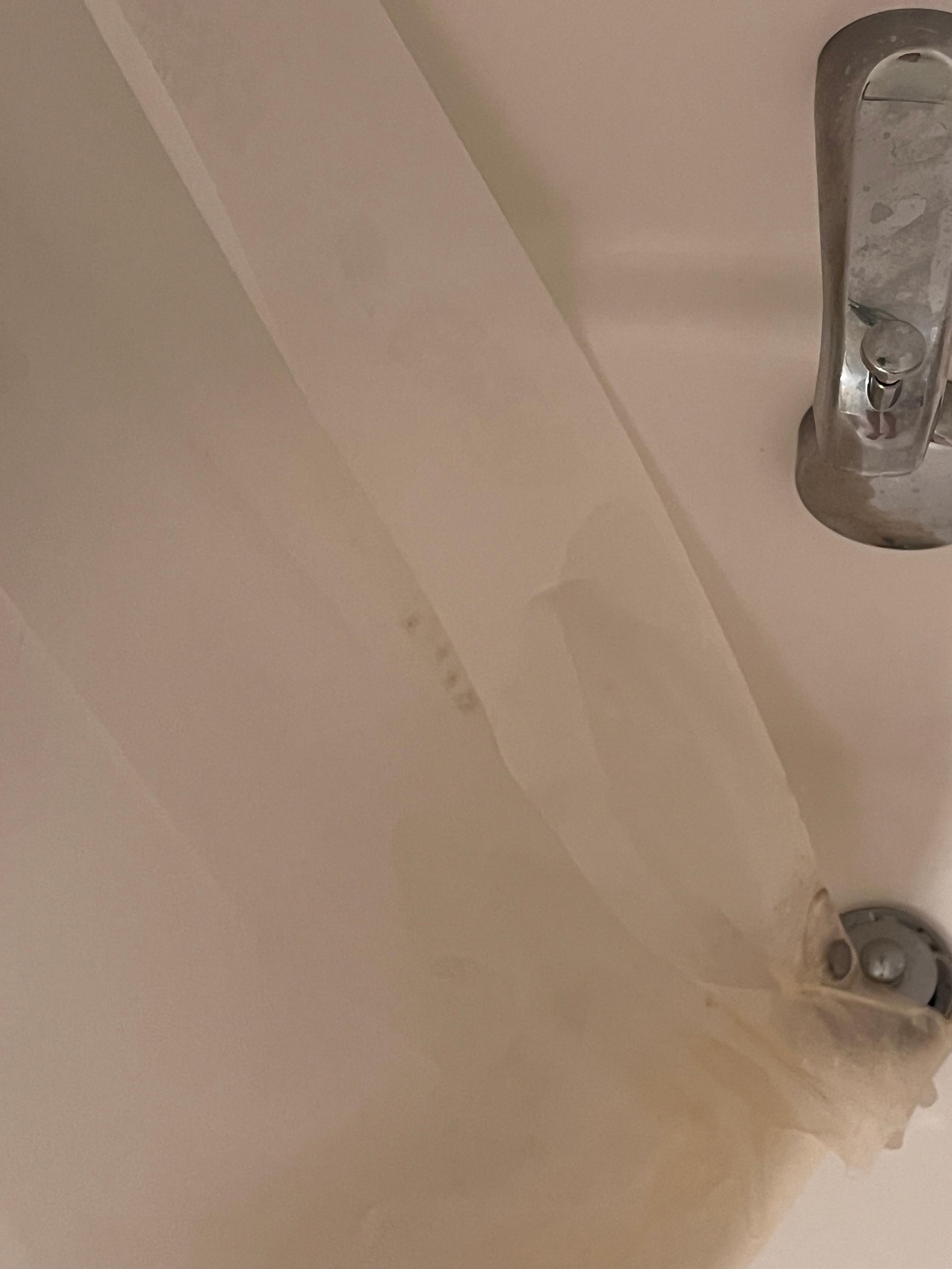 Mold in the shower
