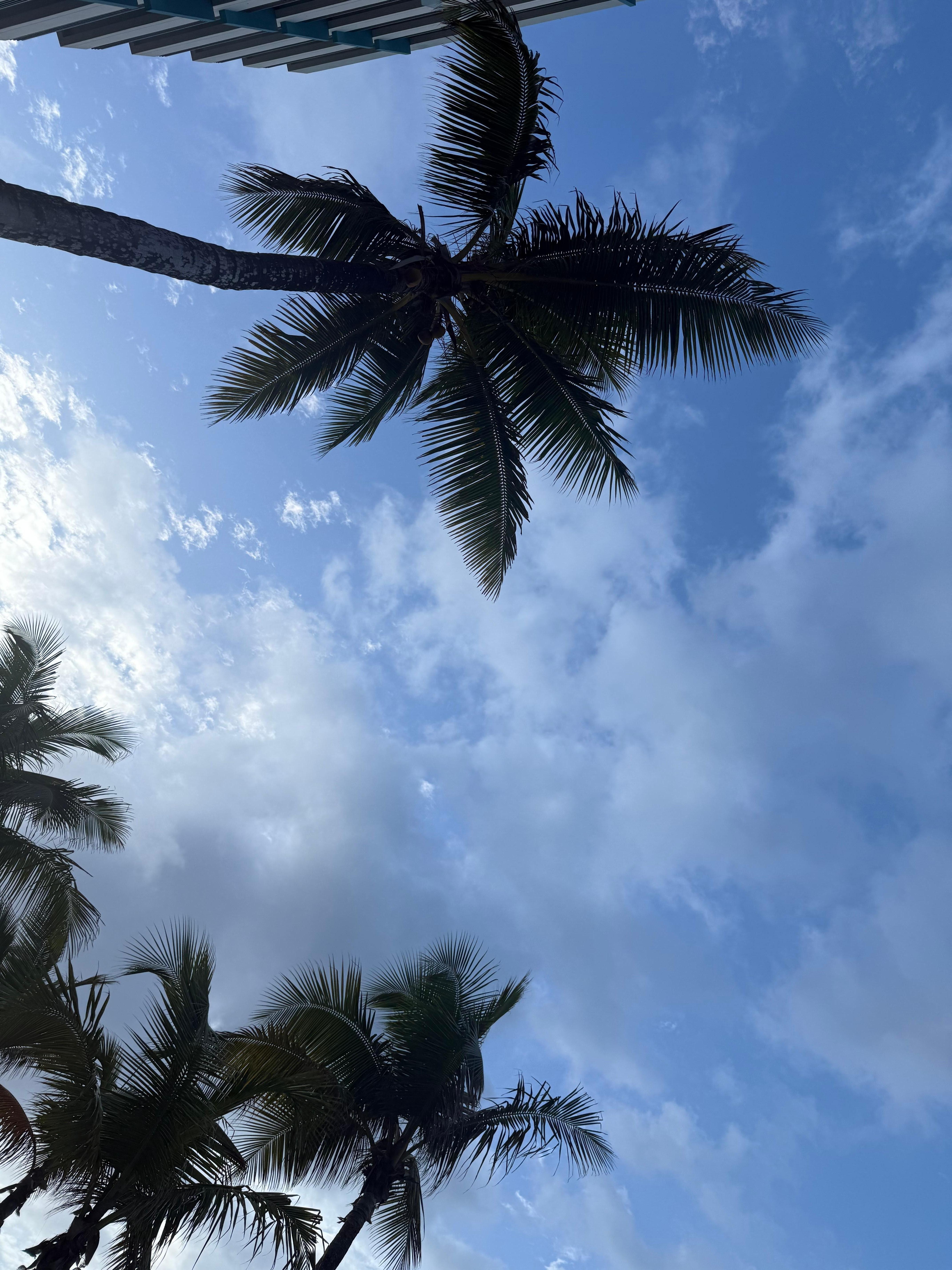 View from poolside