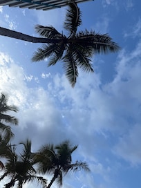 View from poolside