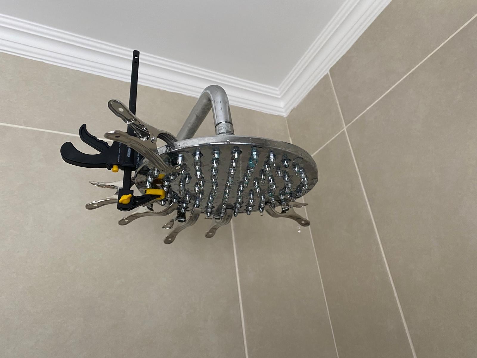 Broken shower 
Bedroom 5