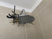 Broken shower
Bedroom 5