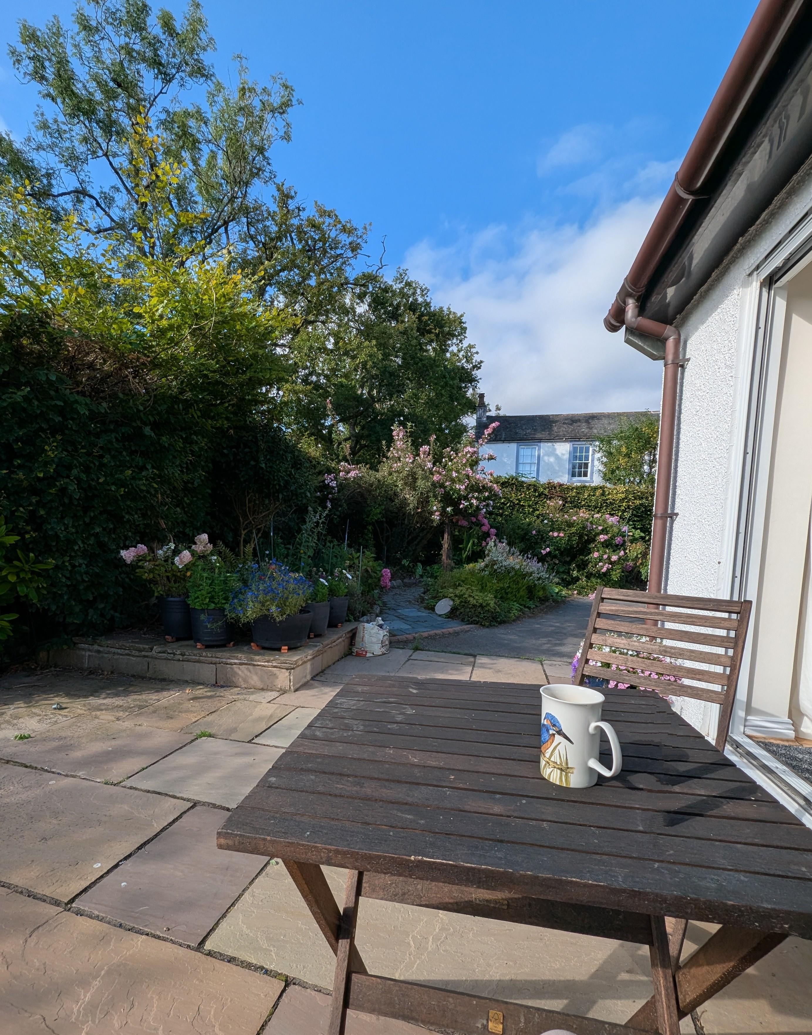 Rear patio and small garden