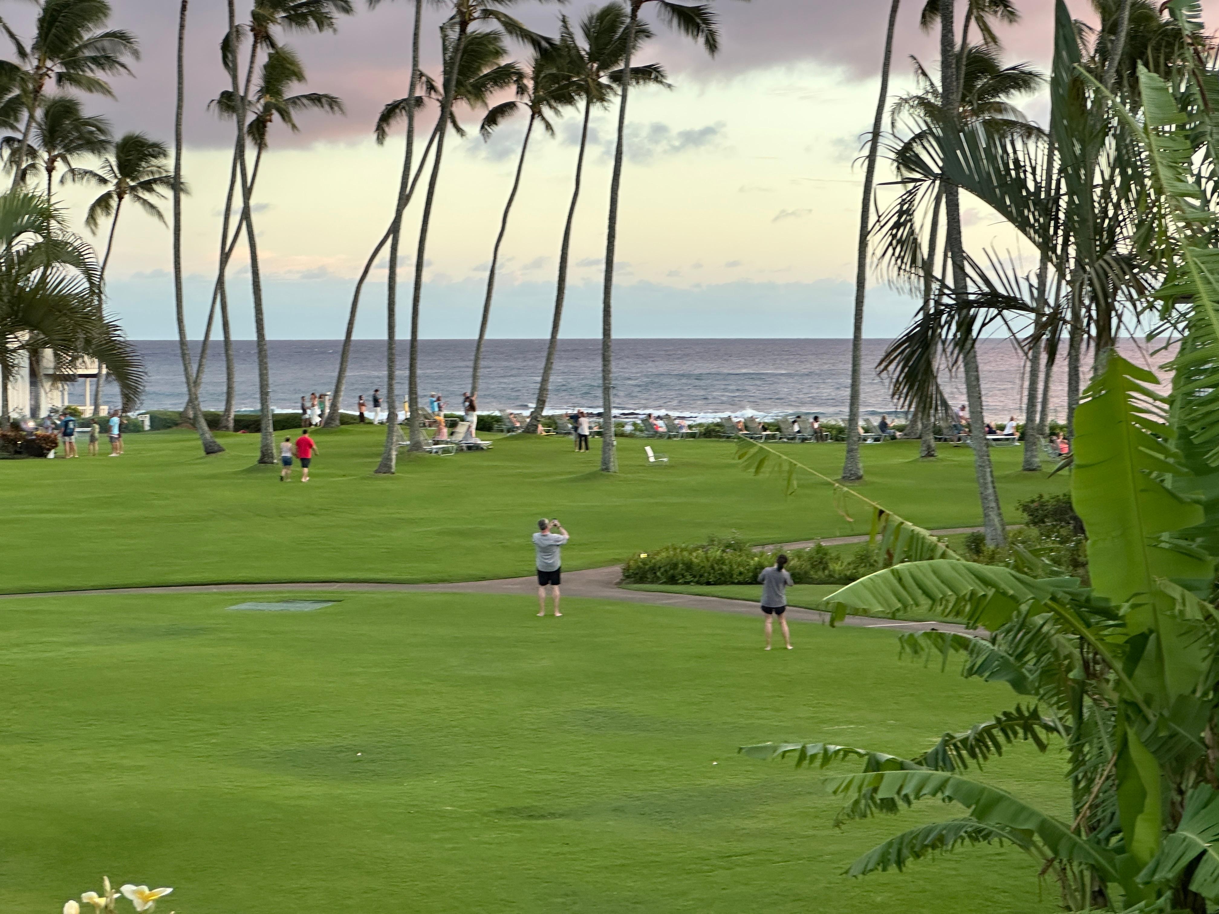 View across The Great Lawn