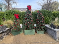 Area in front of castle. Walkway/sitting area