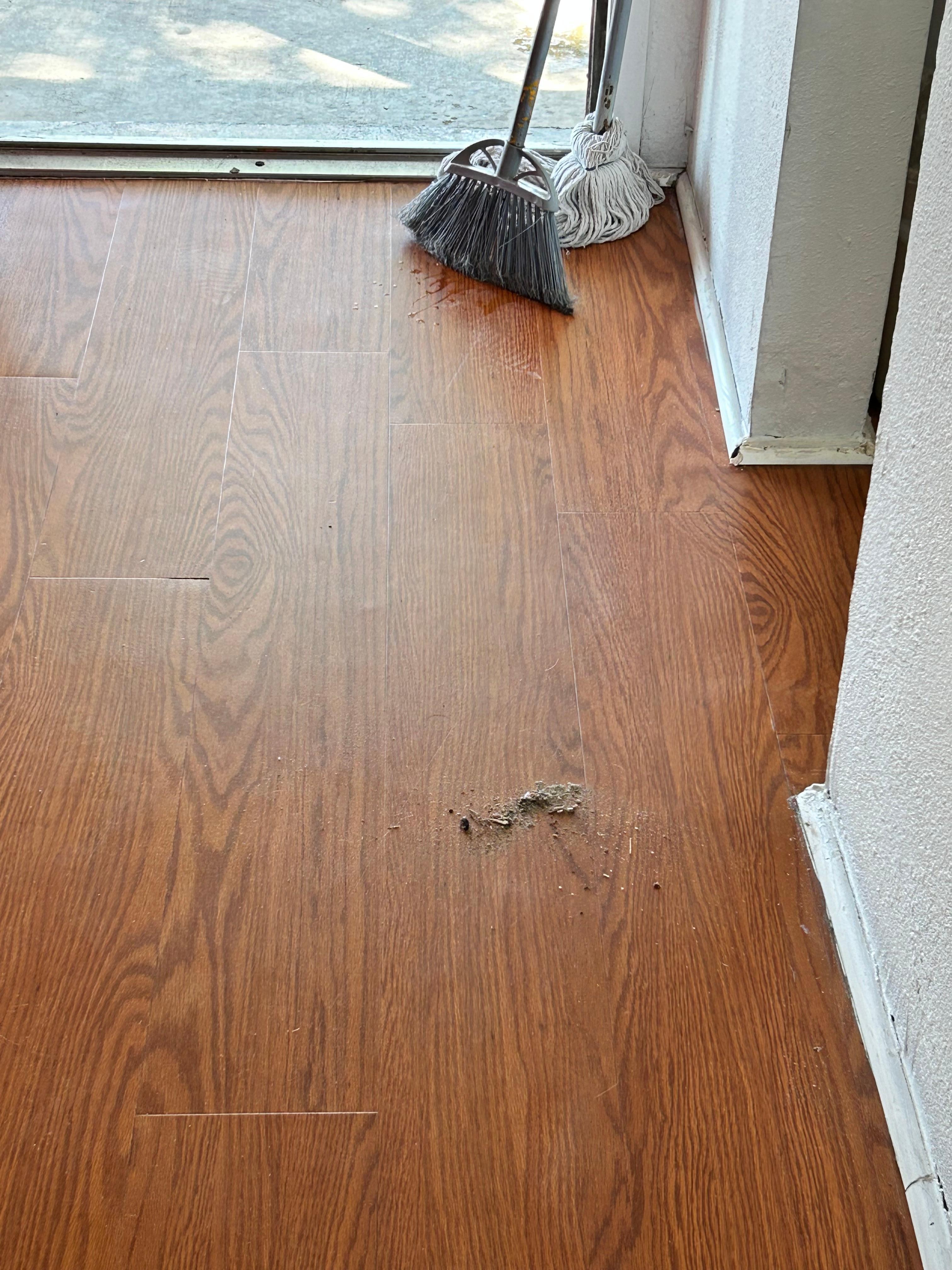 After a call to housekeeping…