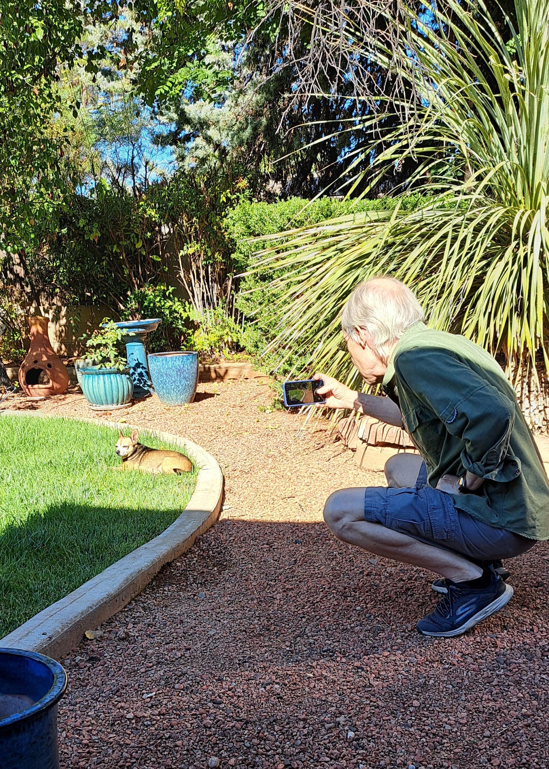 Roxy loved the soft grass.  Tom loves taking endless photos of Roxy!