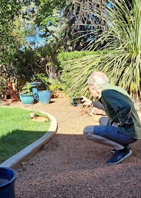 Roxy loved the soft grass. Tom loves taking endless photos of Roxy!