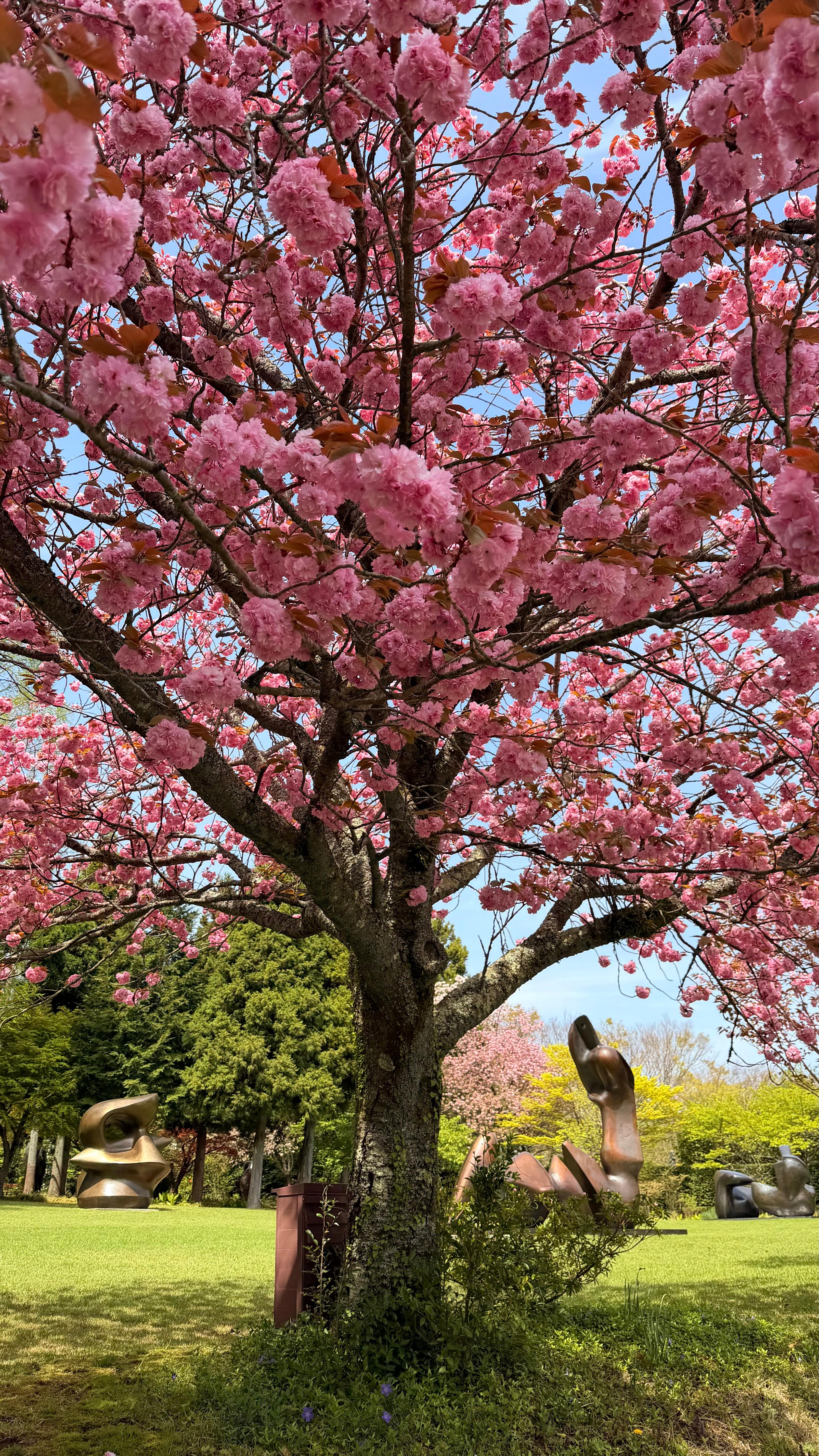 Hakone Open Air Museum