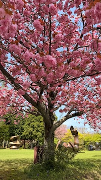 Hakone Open Air Museum