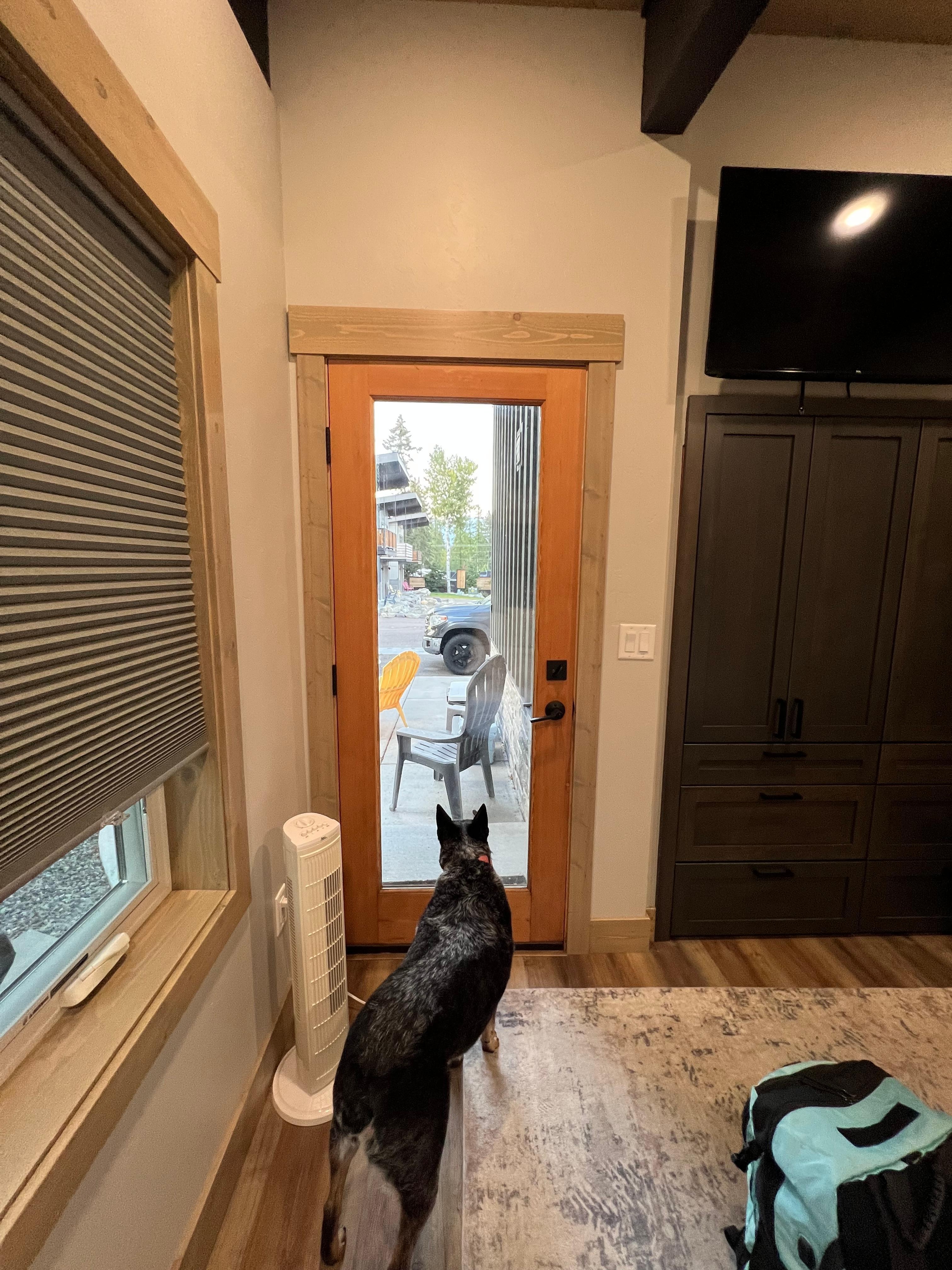 No blind on patio door from bedroom. 