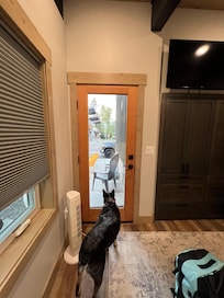 No blind on patio door from bedroom.
