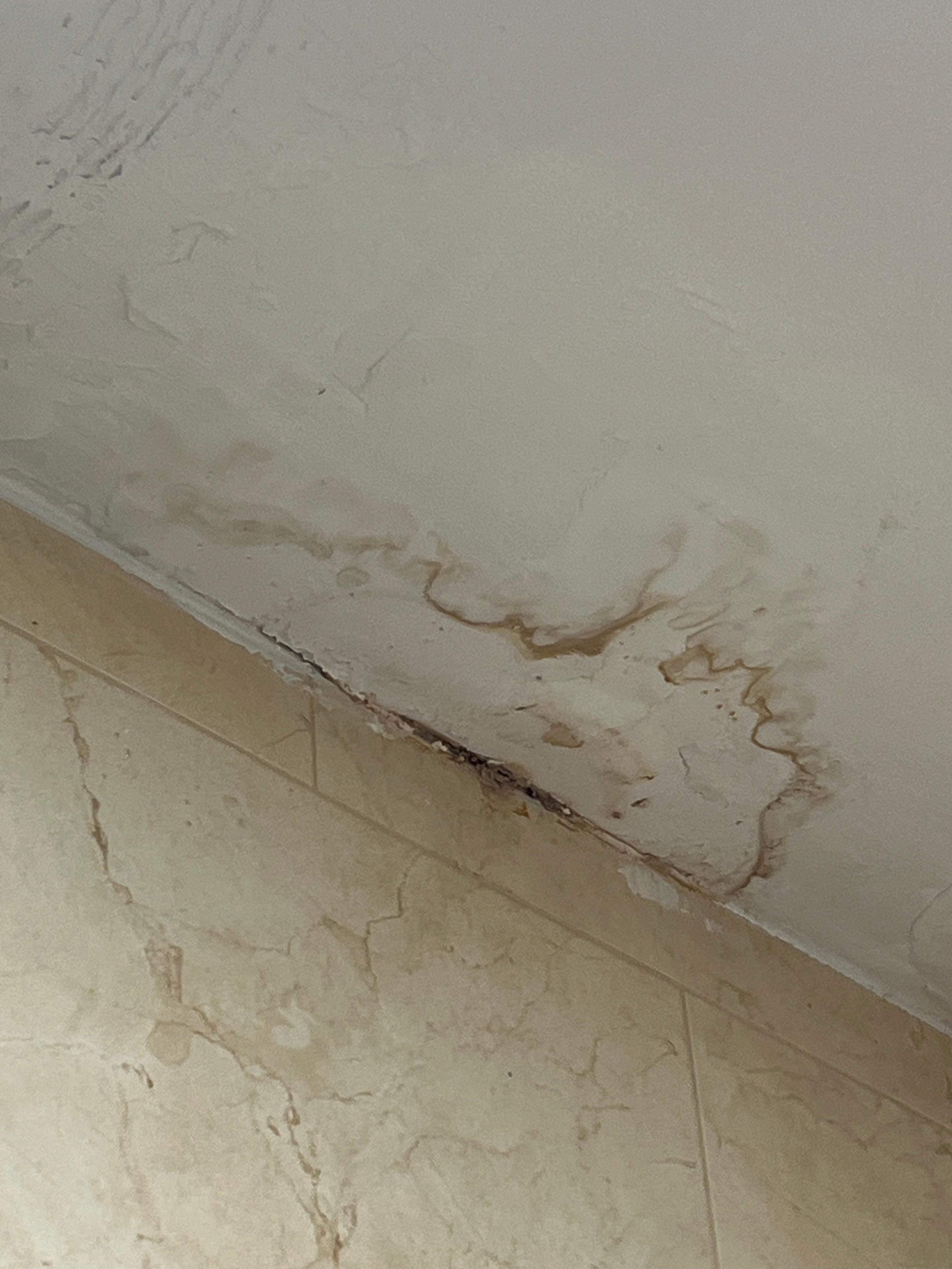 Water damage ceiling 