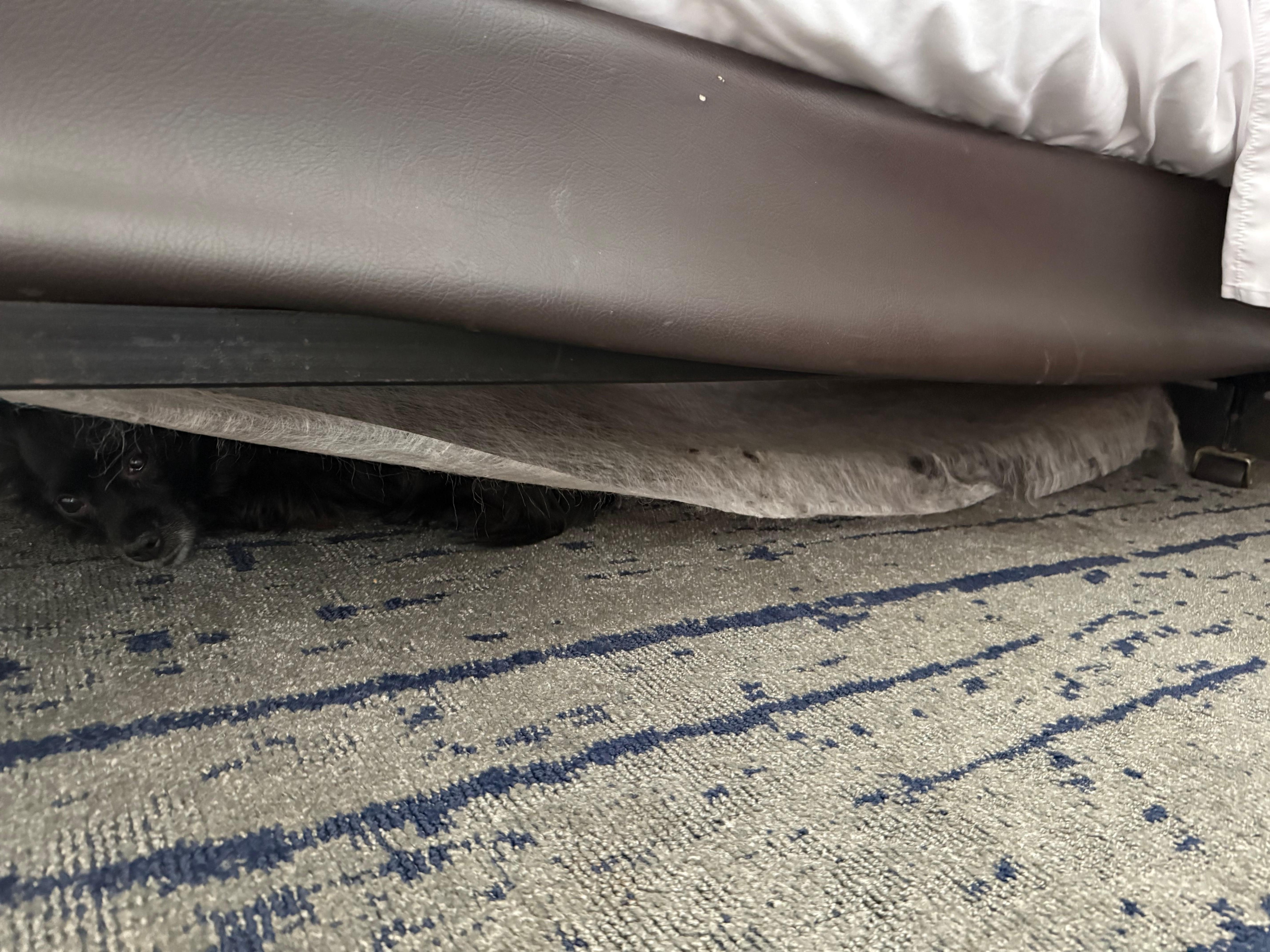 The felt of the box spring hanging down.  