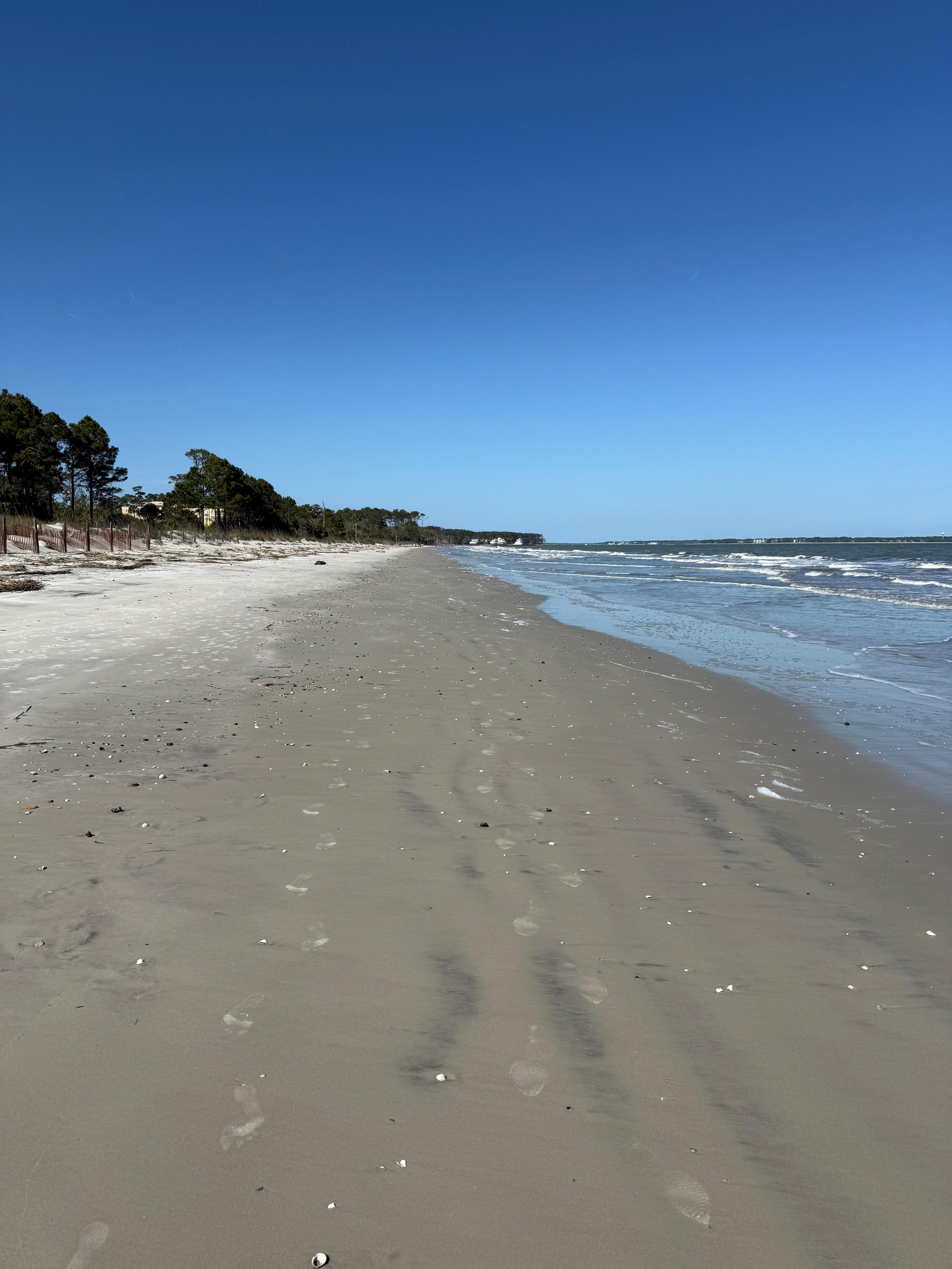 Beach during spring break.