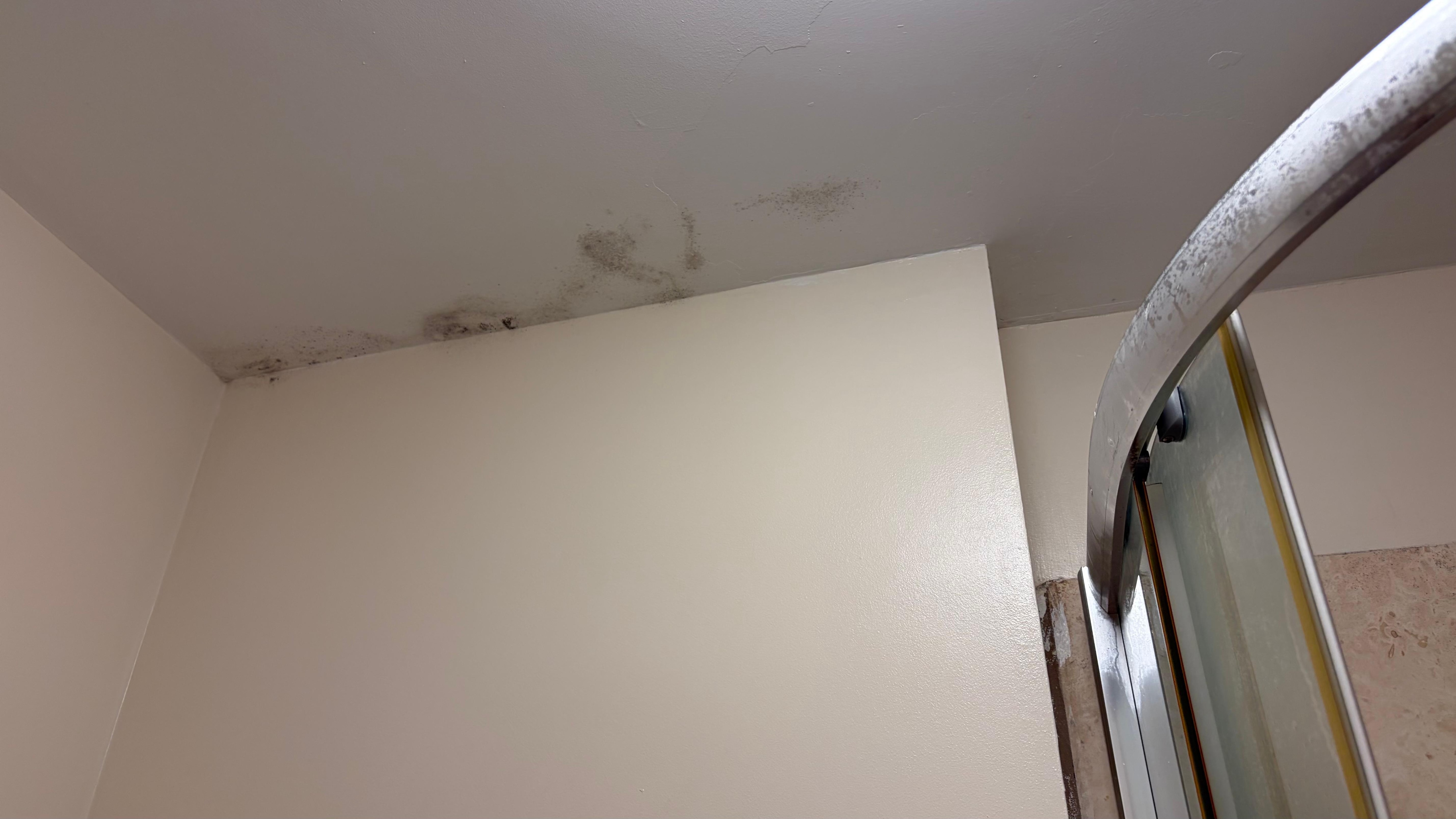 Mildew in bathroom despite fan extractor