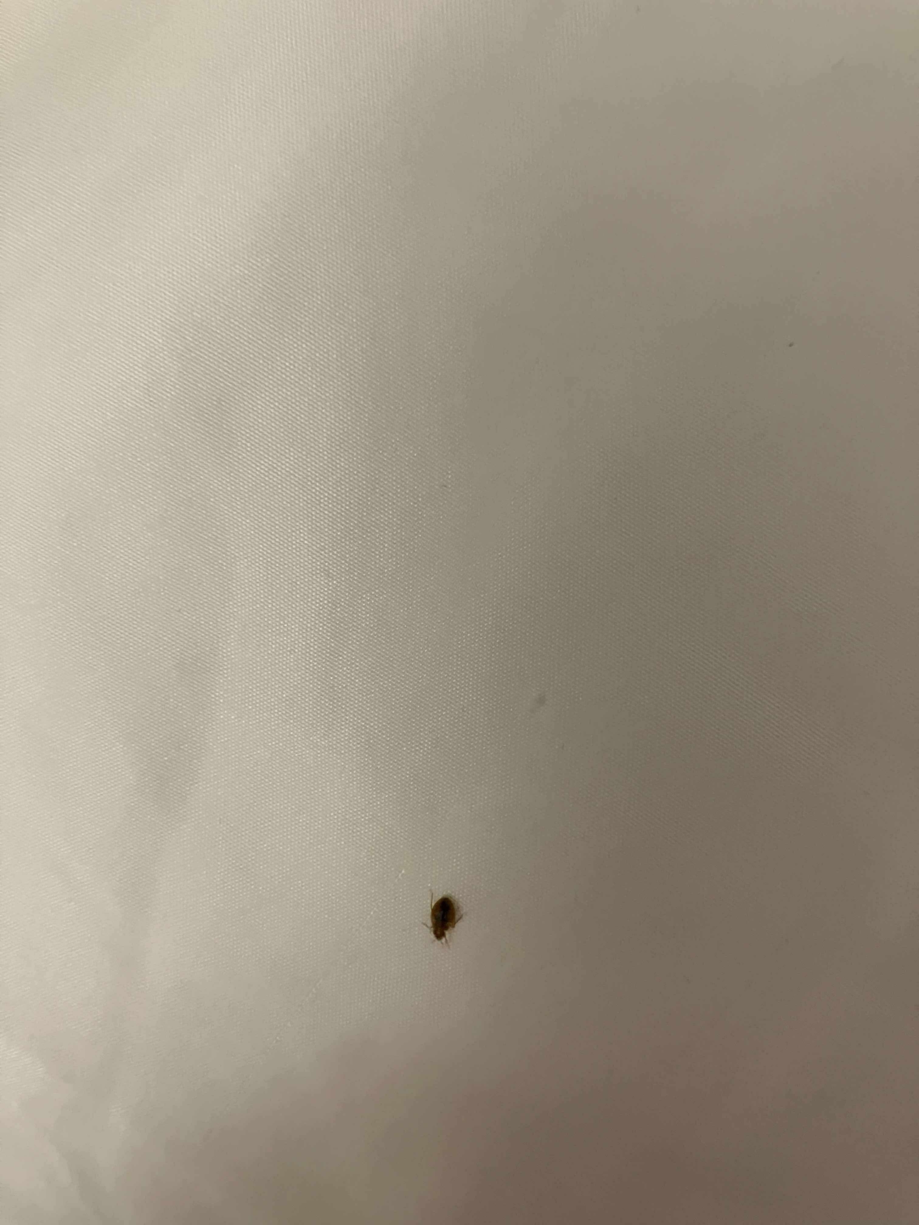 Shes not the most tech savvy but she did manage to capture a picture after i told her to go take one for proof. 