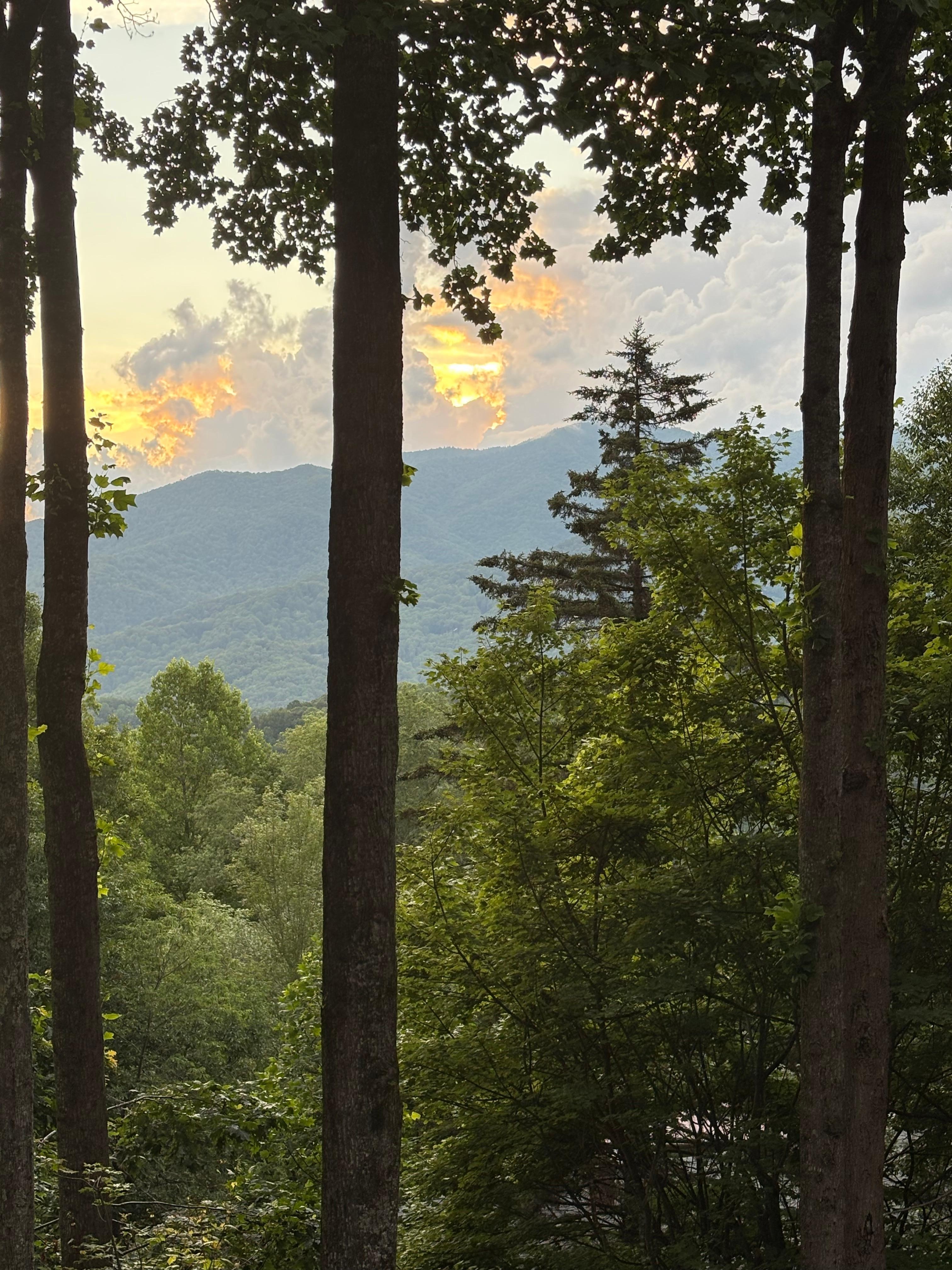 View from the covered porch. 