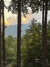 View from the covered porch.