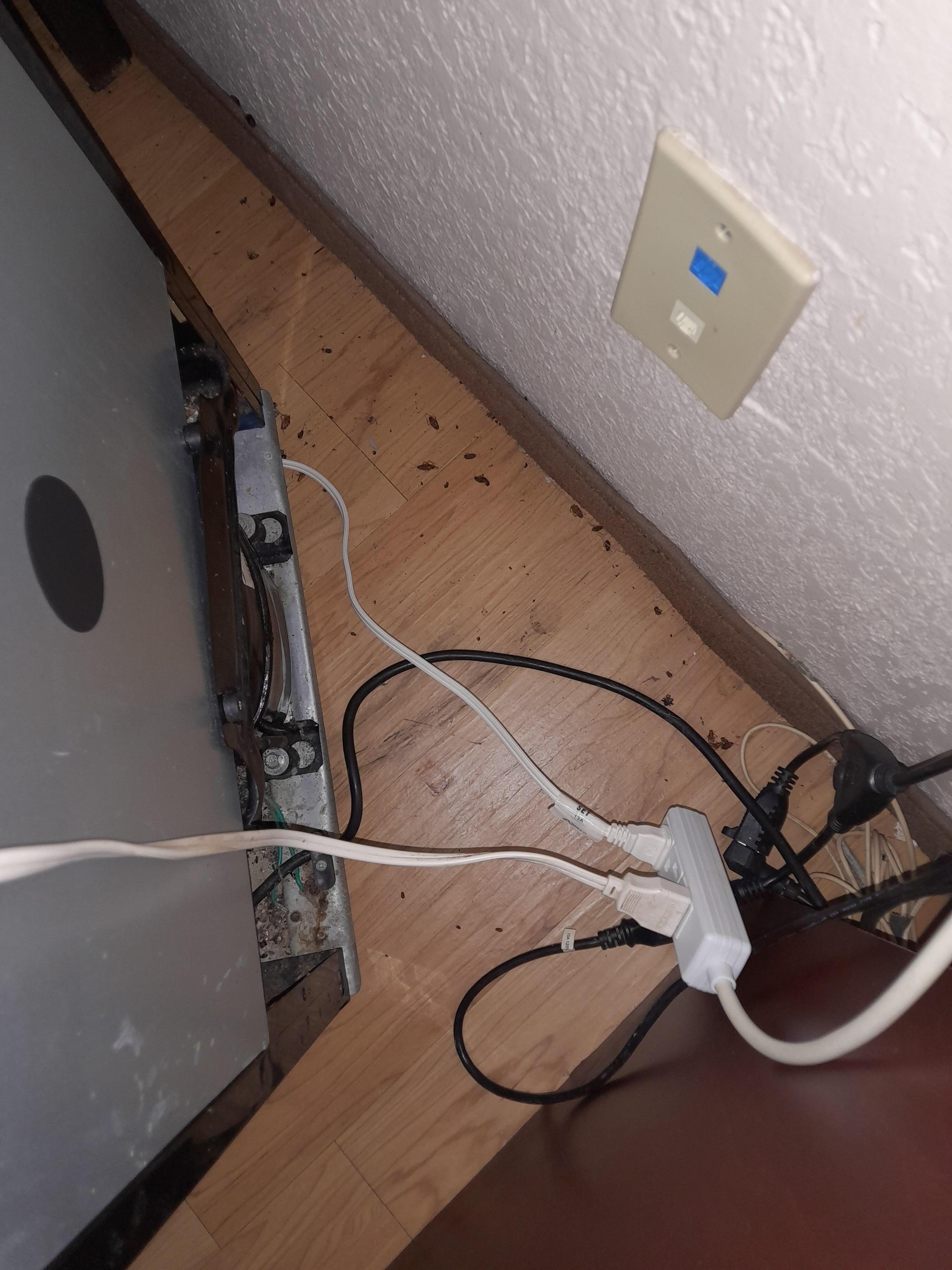 The lack of cleaning under the refrigerator showed many bits and pieces and dead roaches.