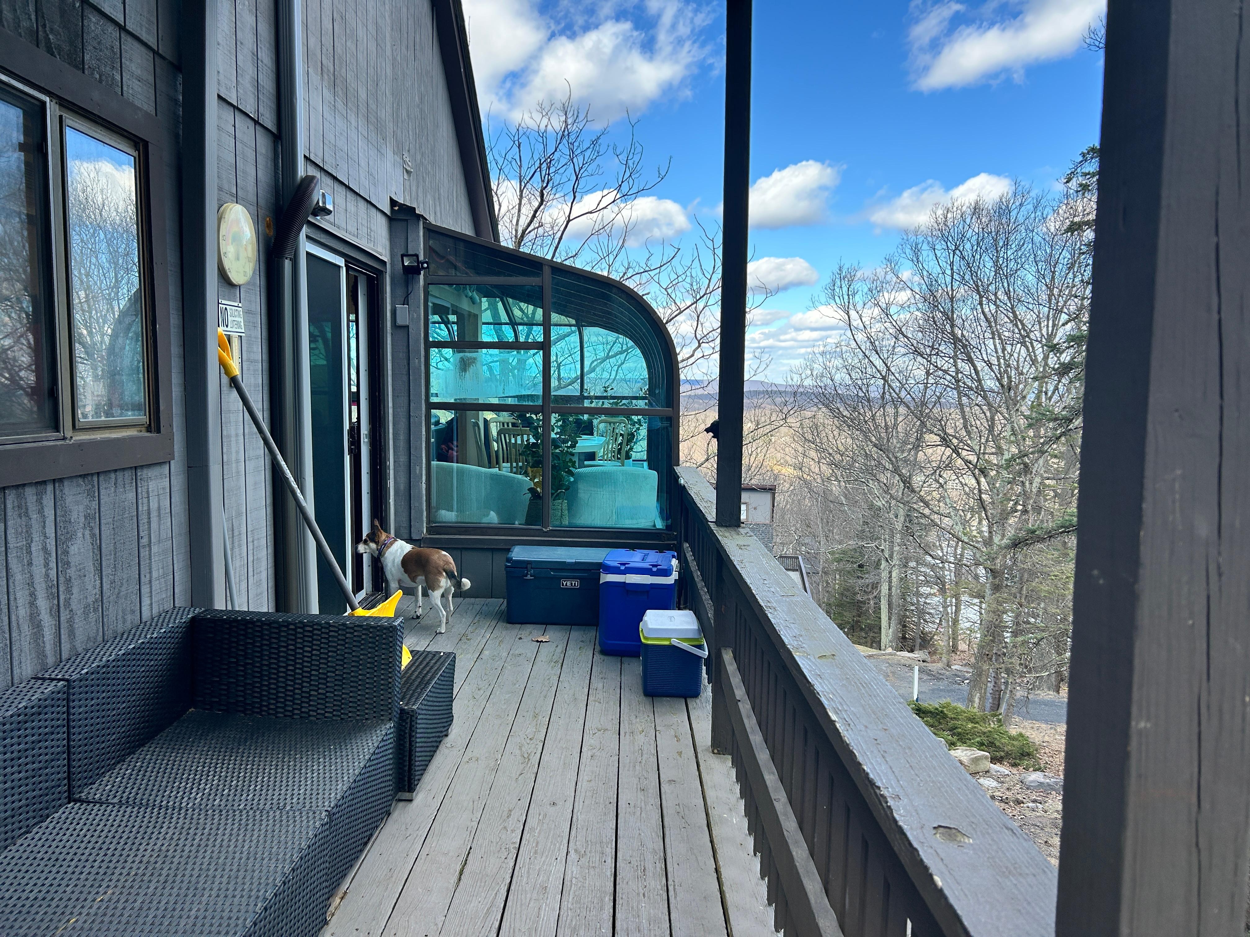 Our pup loved the decks! 