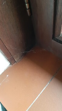 Fenster Schlafzimmer.
