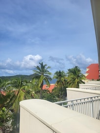 View from the patio