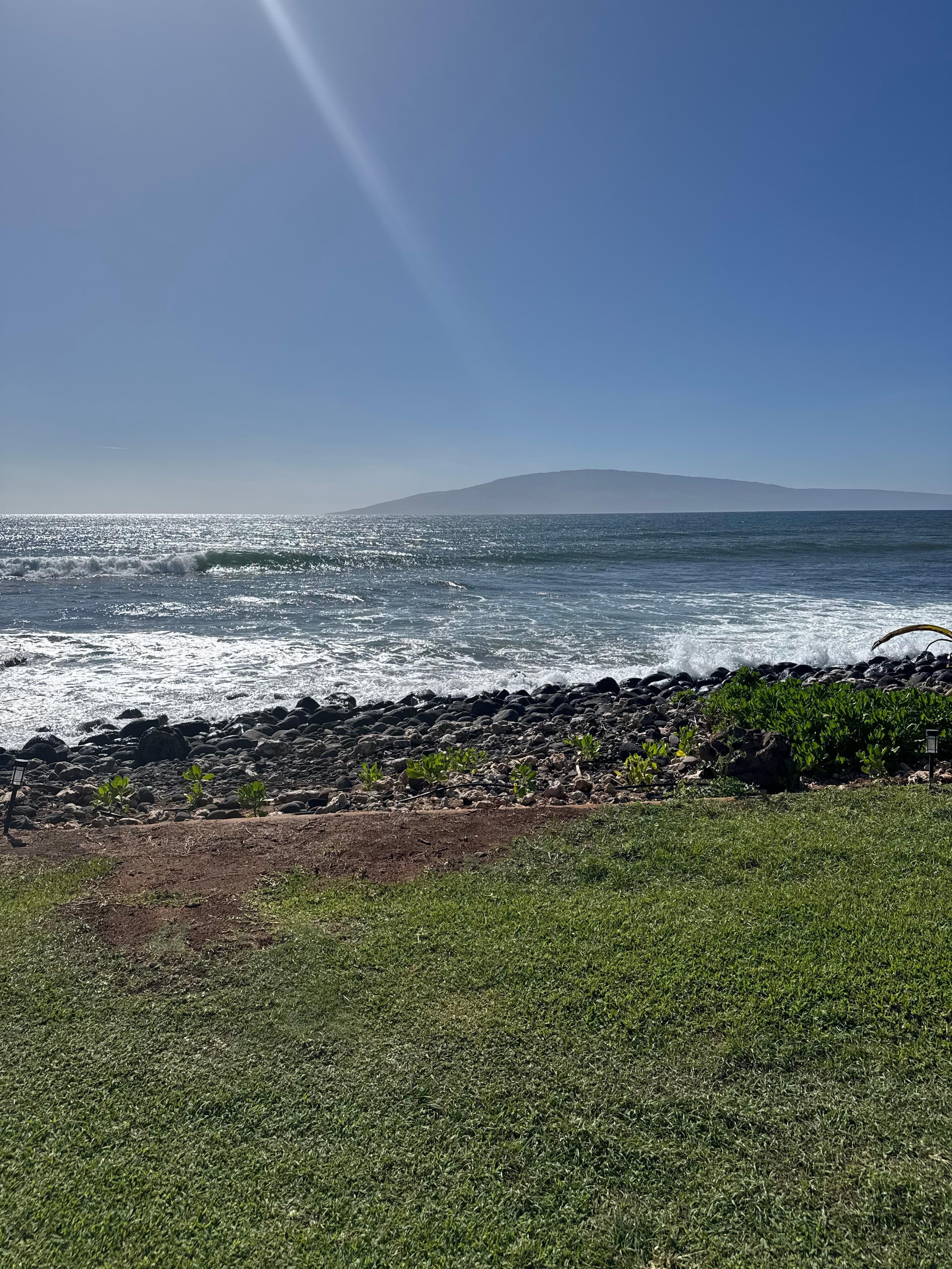 From the covered area next to the pool